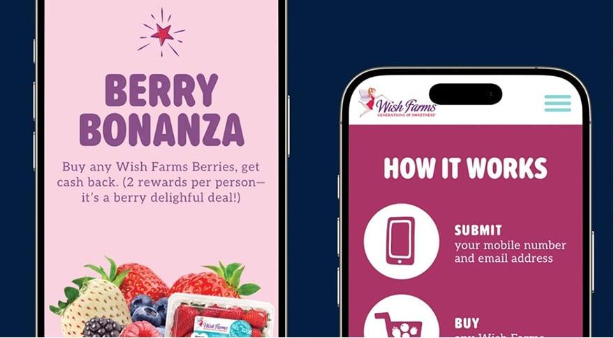 Wish Farms’ ‘Berry Bonanza’: an innovative way to reward berry shoppers